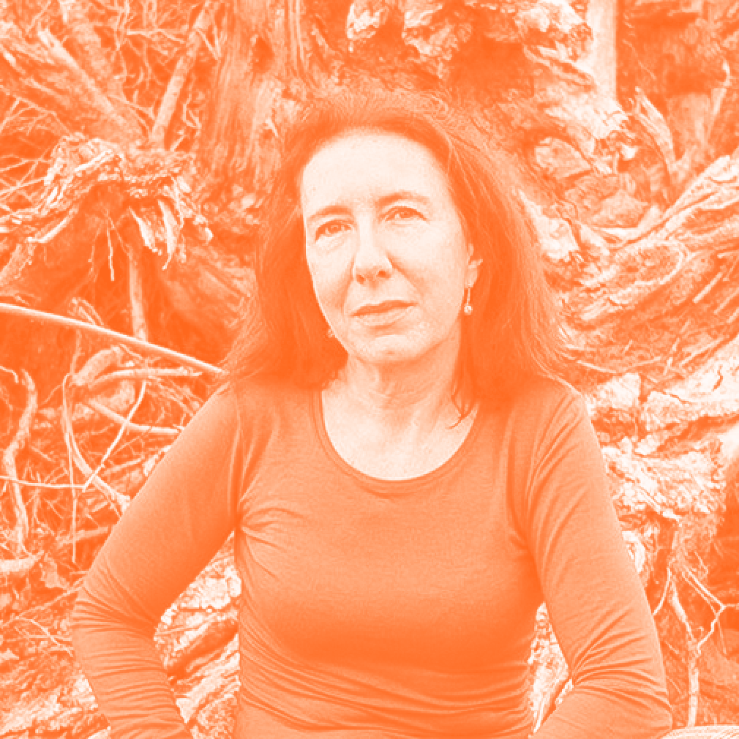 Anne Simon