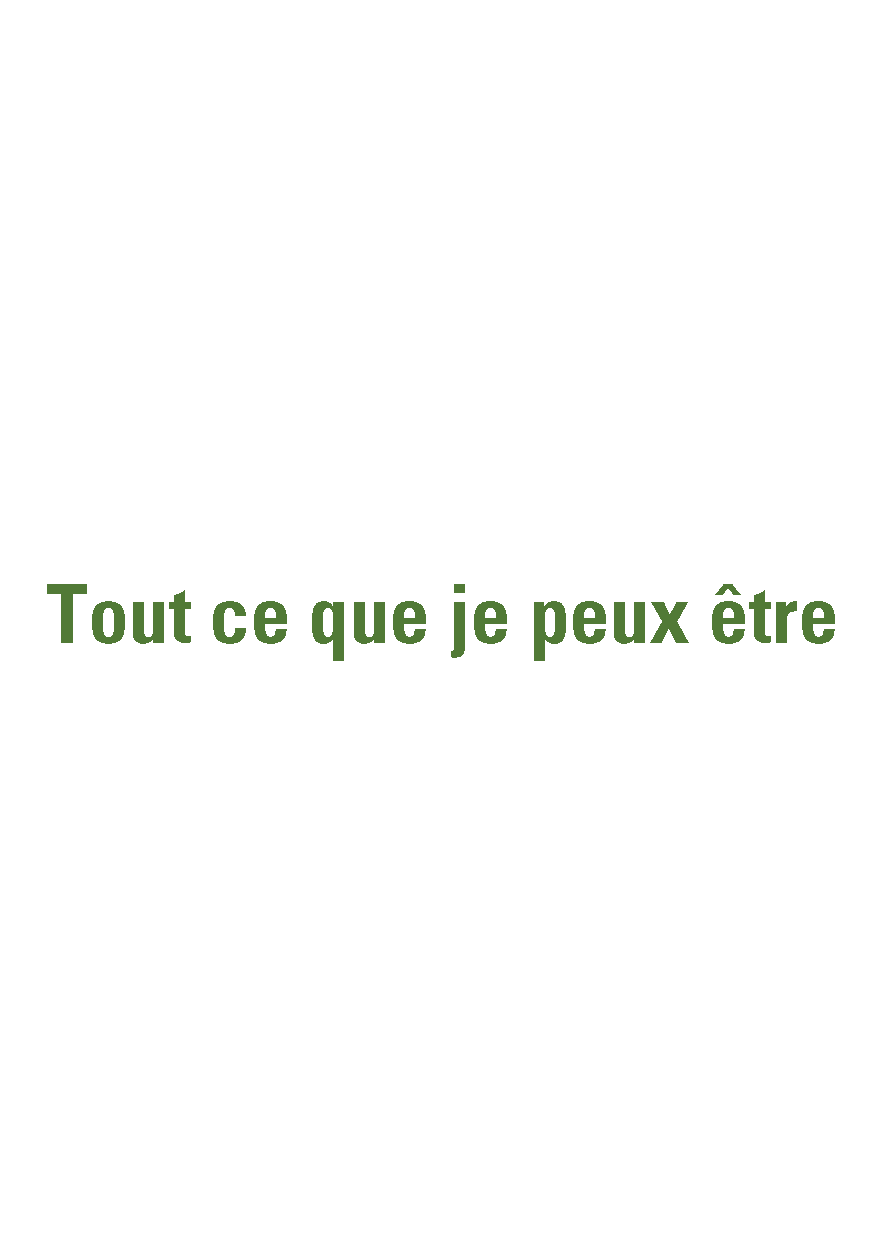 Tout ce que je peux être