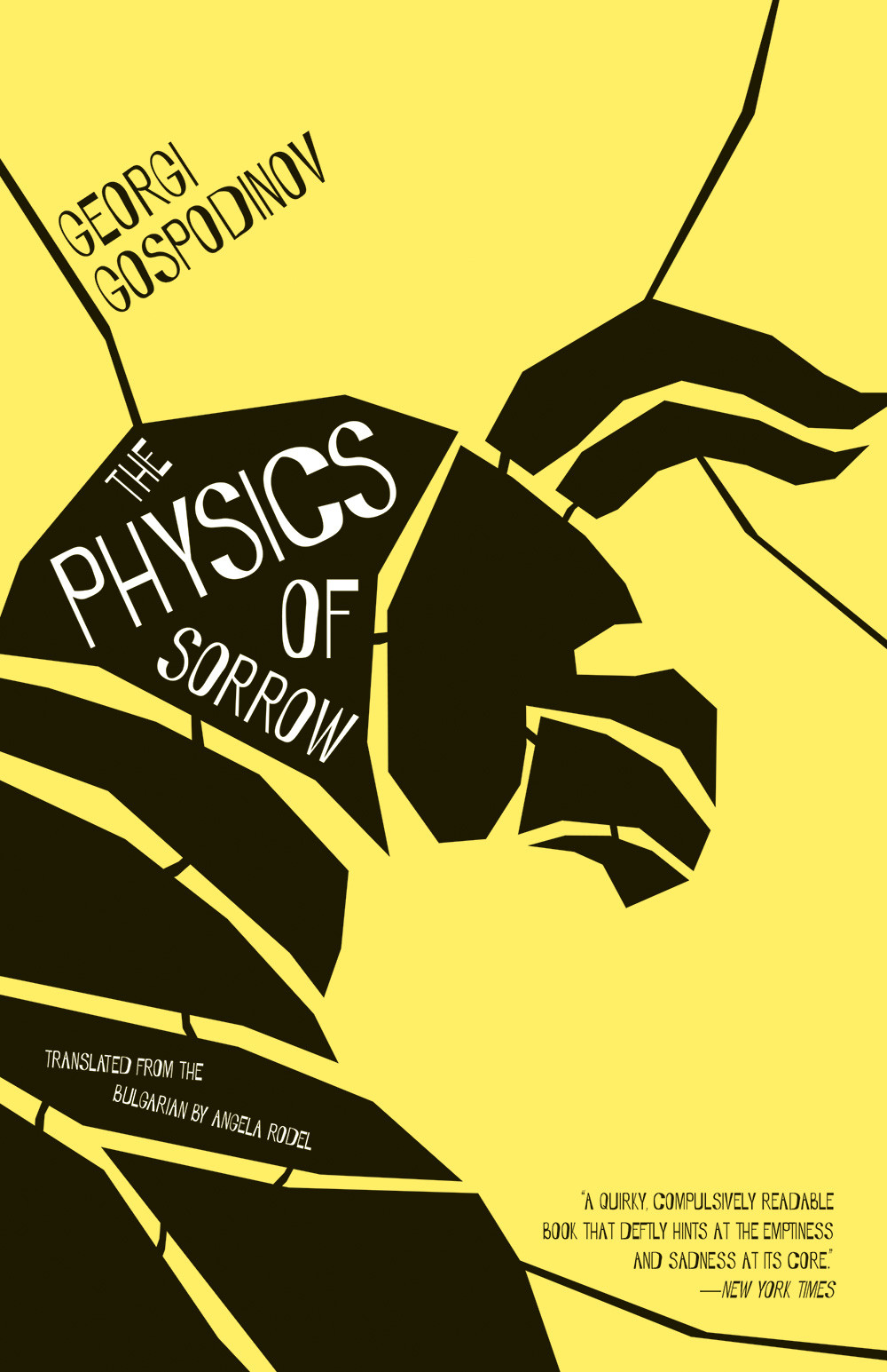 Portrait The Physics of Sorrow