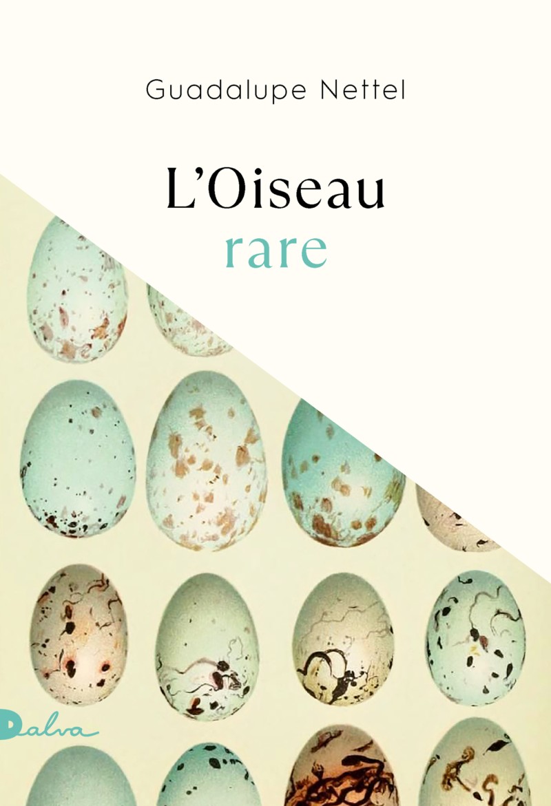 L’oiseau rare